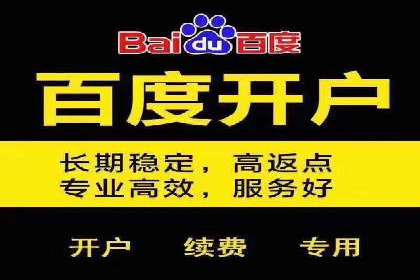 行业领先企业的SEM广告投放策略案例